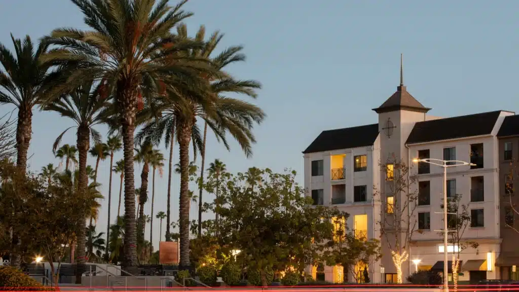 Traffic backup following serious auto collision on Carson city roadway.